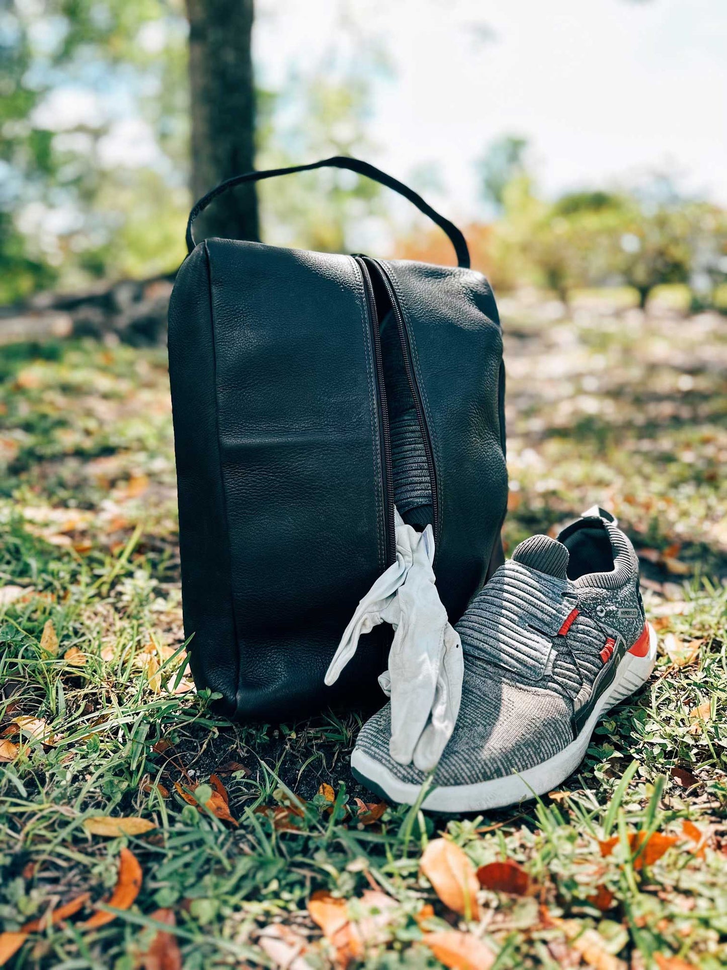 Shoe Bag